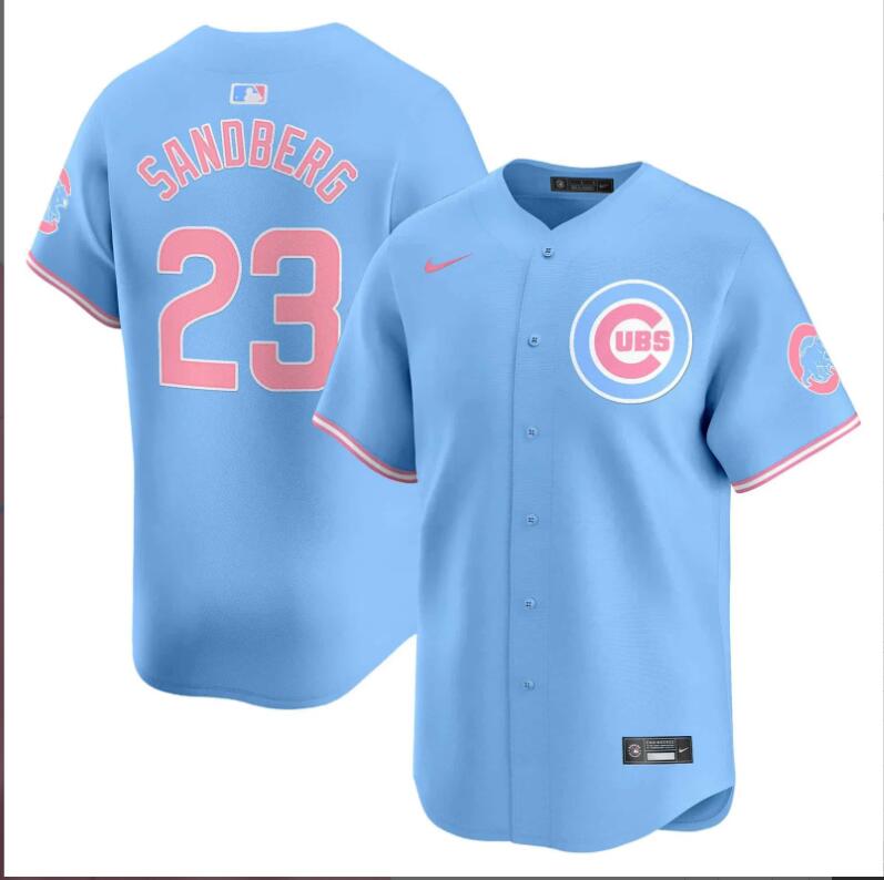 Men Chicago Cubs 23 Sandberg blue 2024 Nike MLB jersey